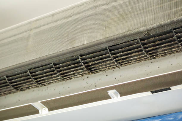 Best Local Air Duct Cleaning Services  in St Martin, MS